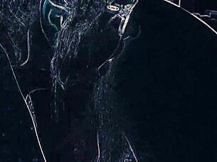 Club lights flash rimming ass worship and blowjob dance