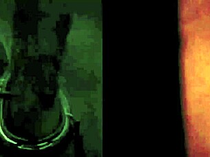 discover victorian gentleman's secret erotic confessions unveiled