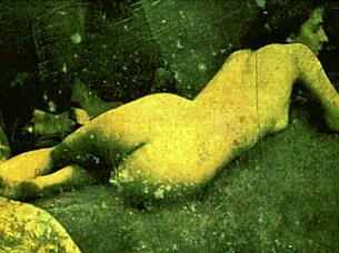 ladies, wanna taste these vintage hairy beavers from antique lesbian reels?