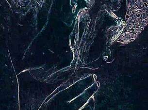 Club lights flash rimming ass worship and blowjob dance