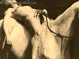 what does dark lantern entertainment present in vintage retro?