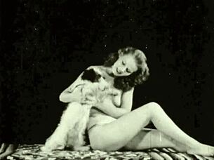 what does dark lantern entertainment present in vintage retro?