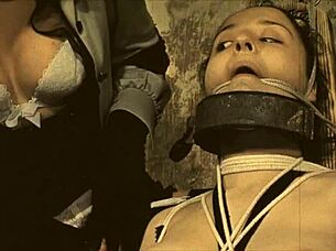 uncover my secret top twenty vintage bdsm punishments with bound hairy retro babes 😈🔗