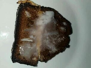 Bukkake Cumshot Covers Bolo in Sticky Food Blowbang