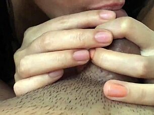 myanmar girl with natural big boobs kisses cock and tries boobjob