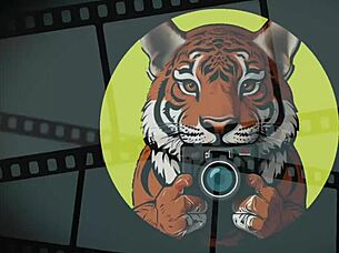 beautiful thai amateur rides cock in morning doggystyle creampie