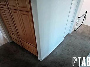 petite ebony destiny mira undresses for tommy pistol's forbidden POV fuck