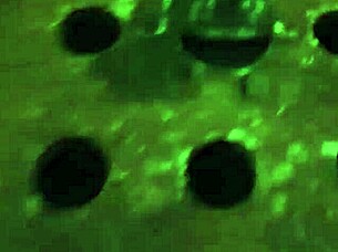 Rana, take this gloved facial fuck and creamy cumshot!