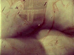 vintage erotic art collection retro antique style