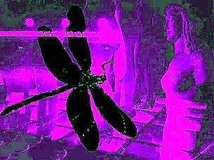 dark lantern's dragonfly scene unfolds vintage lesbian passion