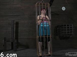 four sluts crammed in my tight cage begging rough