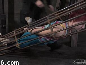 four sluts crammed in my tight cage begging rough