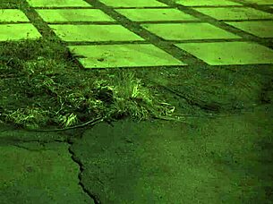 Hairy teen babe bound for first time feet domination fuck?