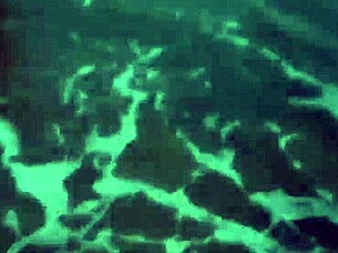 Blonde Flashes Tits and Sucks Cock Public Beach Exhibition