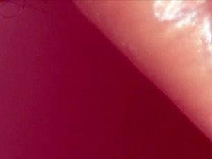 wife's pantyhose story from business trip ends with cum in mouth blowjob?