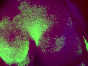 Italian milf Artemisia bounces juicy tits curbside