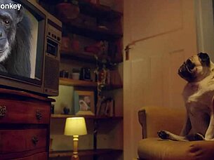 Europe's Candee Licious Lili Charmelle toy threesome wet oral frenzy