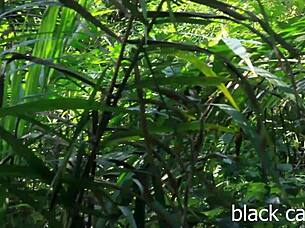 Hey farmer, did you catch us fucking wildly in the bush outdoors?