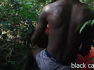 Hey farmer, did you catch us fucking wildly in the bush outdoors?