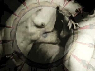 vintage retro hairy beavers star in antique silent films