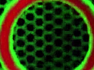 Julius Ceazher Pounds Sara Jay's Big Ass Cougar to Creampie