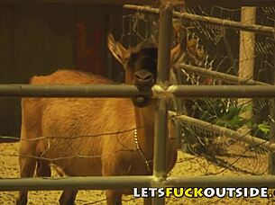 Country Couple Fucks Monster Cock Outdoors Public Cosplay