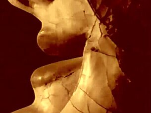 vintage retro hairy beaver erotic art showcase