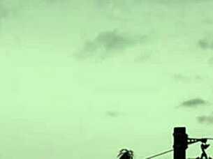 this latina huge ass makes me explode worshiping ebony wife domination