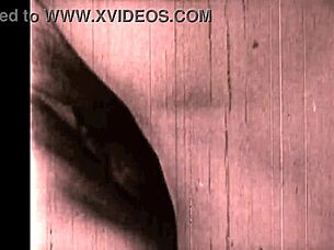 vintage retro hairy beaver erotic art showcase