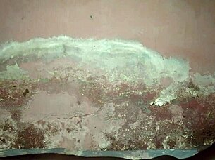 Late night solo homemade masturbation session