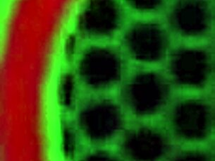 sara jay experiences intense kitchen sex action