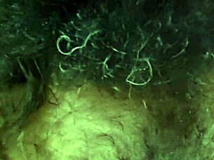 hairy bodybuilder outdoor striptease exhibition