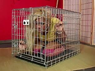 Scott Rhodes pumps hard into Maxine X's big ass before unloading hot cum on her eager lips