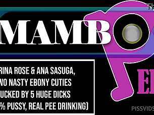 two ebony cuties wrecked by huge dicks dap 😈💦