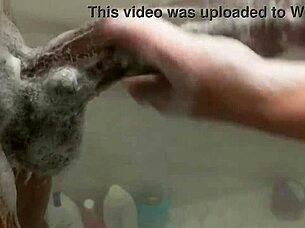 BIG BLONDE SISTER RIDES MONSTER BBC WHILE PARENTS ARE OUT