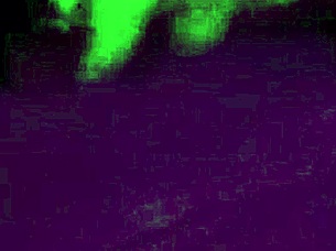 Beautiful brazilian wife cuckold gaping ass fucked by monster cock homemade