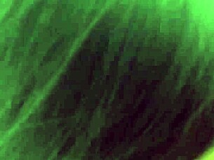 Tobi Steel Pounds Tiny Asian With Monster Cock