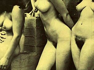join the wild hairy retro orgy full of pussy pounding