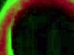 lyra lockhart gets major facial from rome nympho