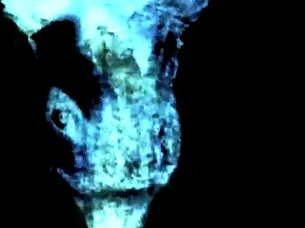 vintage retro hairy erotic drawings stir deep passions