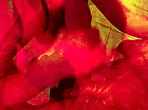 monika fox pov anal slut sloppy deepthroat rimjob squirt cum mouth