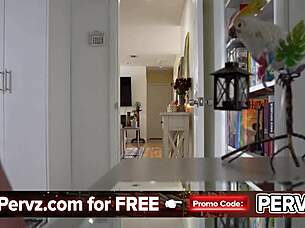 desperate babysitter threatens boss fuck or cops