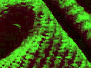 horny italian milf artemisia bounces natural big tits solo!