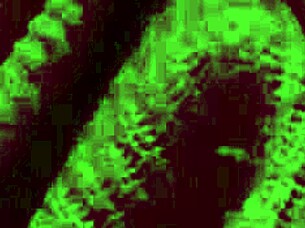 horny italian milf artemisia bounces natural big tits solo!