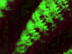 horny italian milf artemisia bounces natural big tits solo!