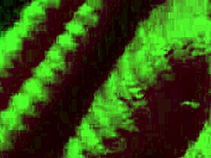 horny italian milf artemisia bounces natural big tits solo!