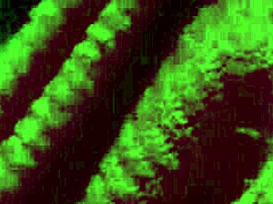 horny italian milf artemisia bounces natural big tits solo!