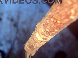 Wanna fuck this witch doggystyle in forest?