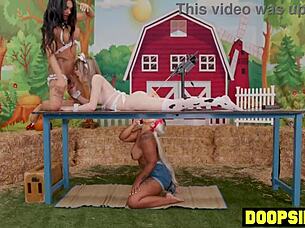 bbw ebony milf milks big dick shemales in anal threesome