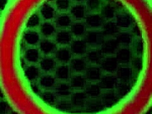 hey jay, finger fuck that massive boob milf on the balcony patio?